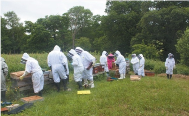 Apiary Association Apiary