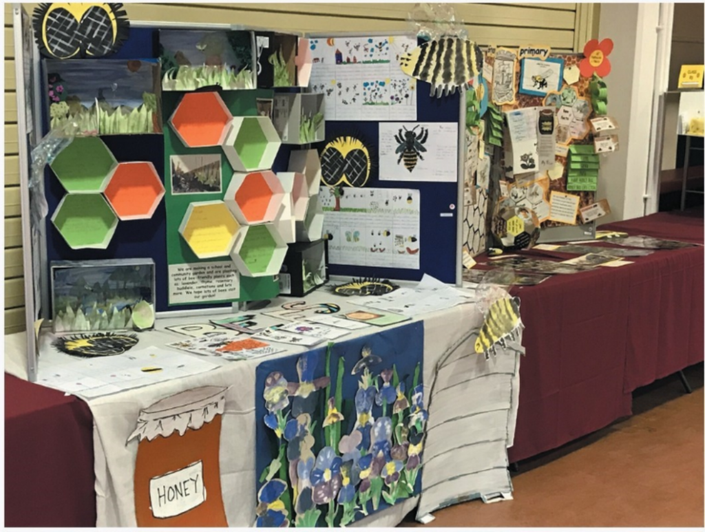PrimaryDisplay Lindsay Baillie took local primary school entries down to the National Honey Show